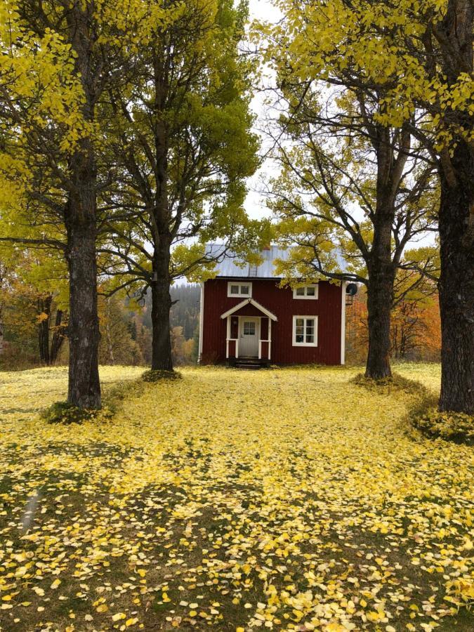 Vålådalen Valagardens Vaerdshus Och Camping Ab מראה חיצוני תמונה