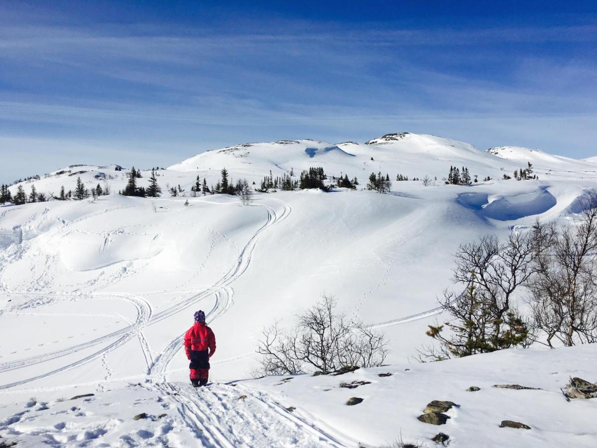Vålådalen Valagardens Vaerdshus Och Camping Ab מראה חיצוני תמונה